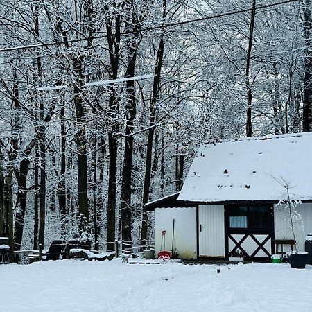 Romantyczna Chatka Pisarzowice  Ngoại thất bức ảnh
