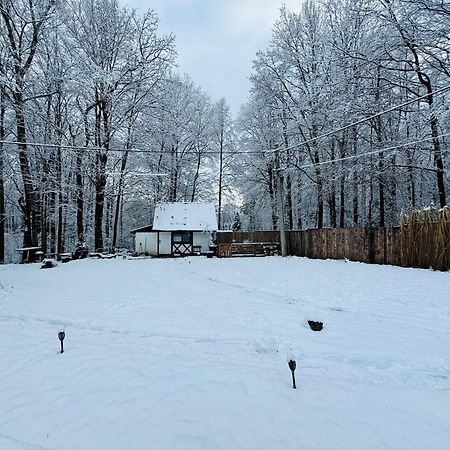 Romantyczna Chatka Pisarzowice  Ngoại thất bức ảnh