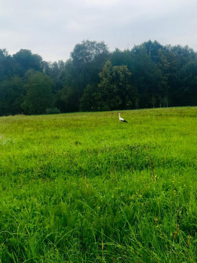 Romantyczna Chatka Pisarzowice  Ngoại thất bức ảnh
