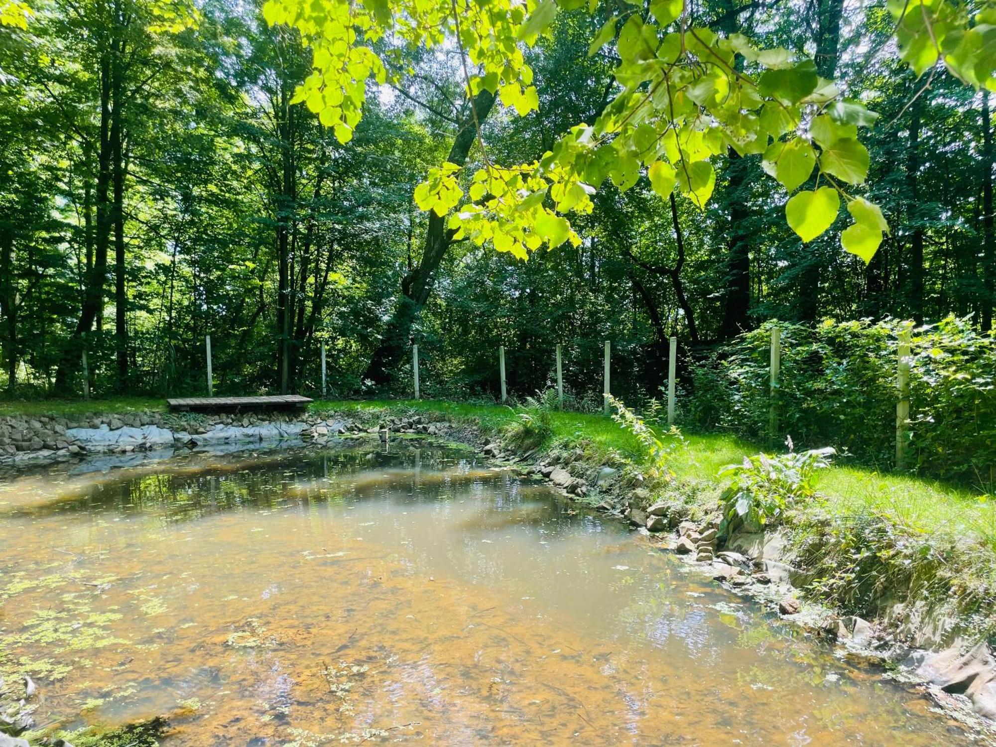 Romantyczna Chatka Pisarzowice  Ngoại thất bức ảnh