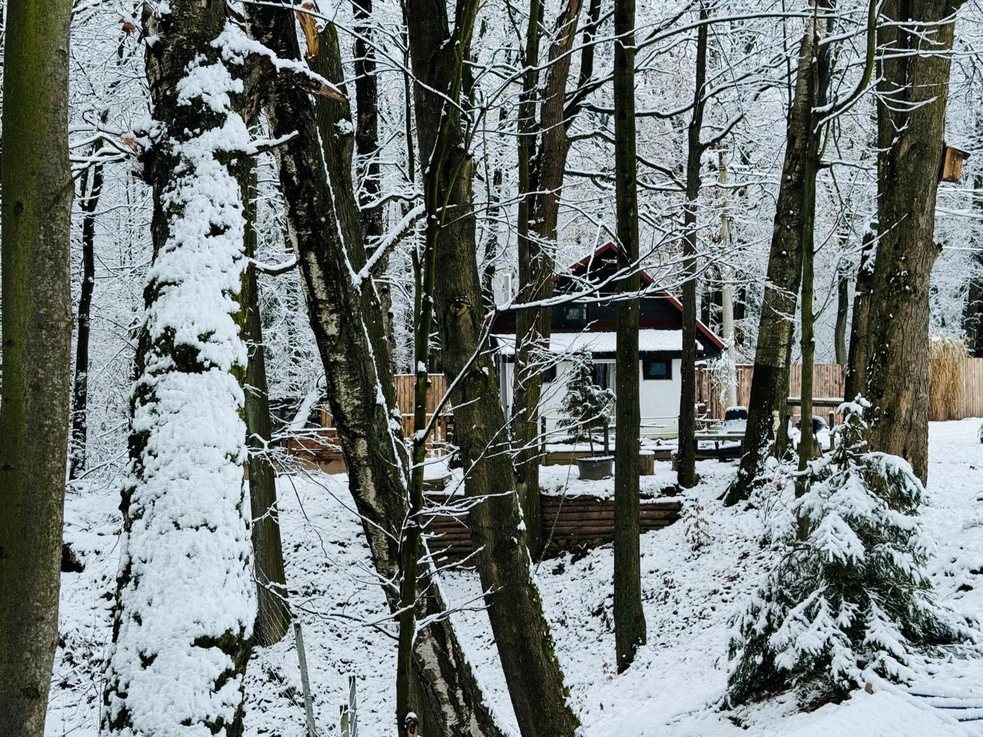 Romantyczna Chatka Pisarzowice  Ngoại thất bức ảnh